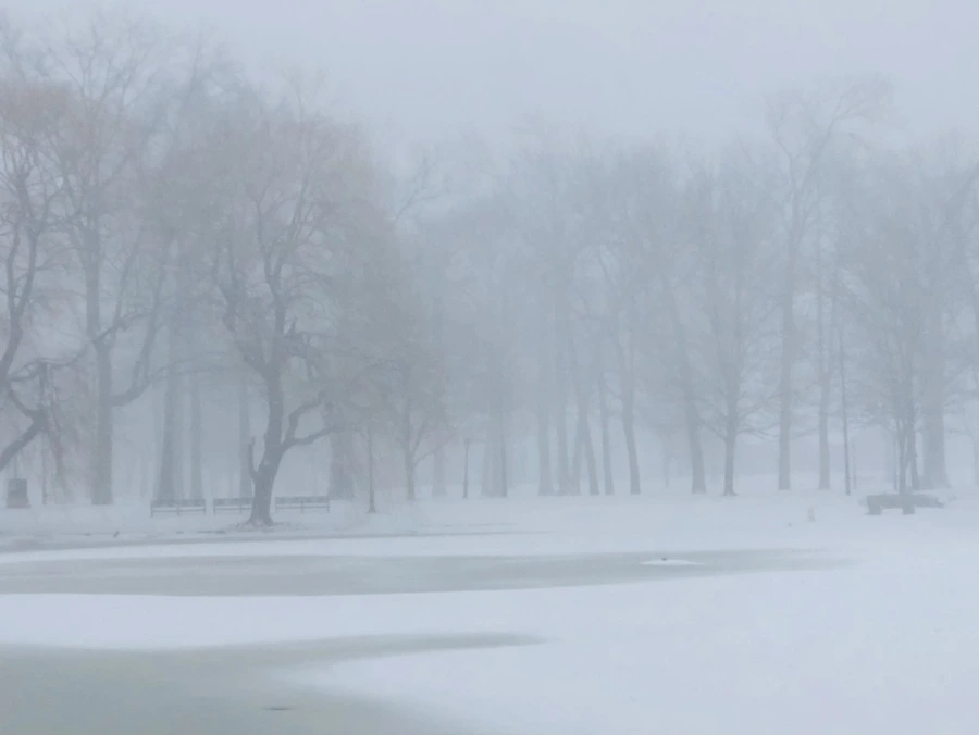 IMG_8835.jpg?type=w966