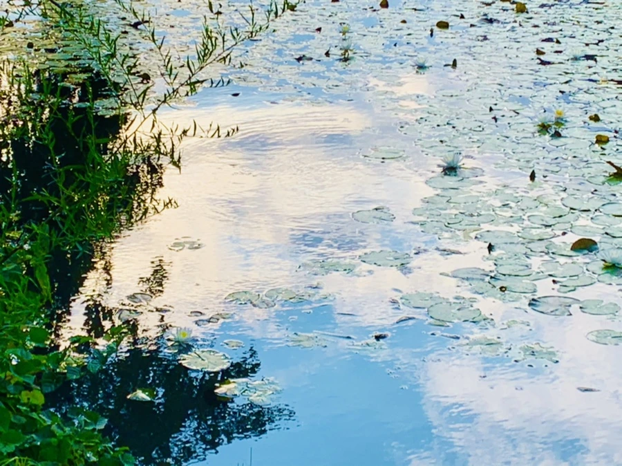 IMG_5845.jpg?type=w966