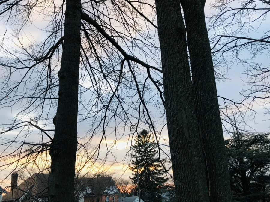 IMG_2498.jpg?type=w966