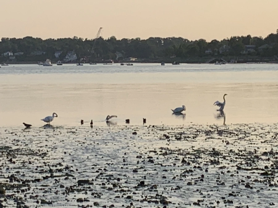 IMG_9754.jpg?type=w966