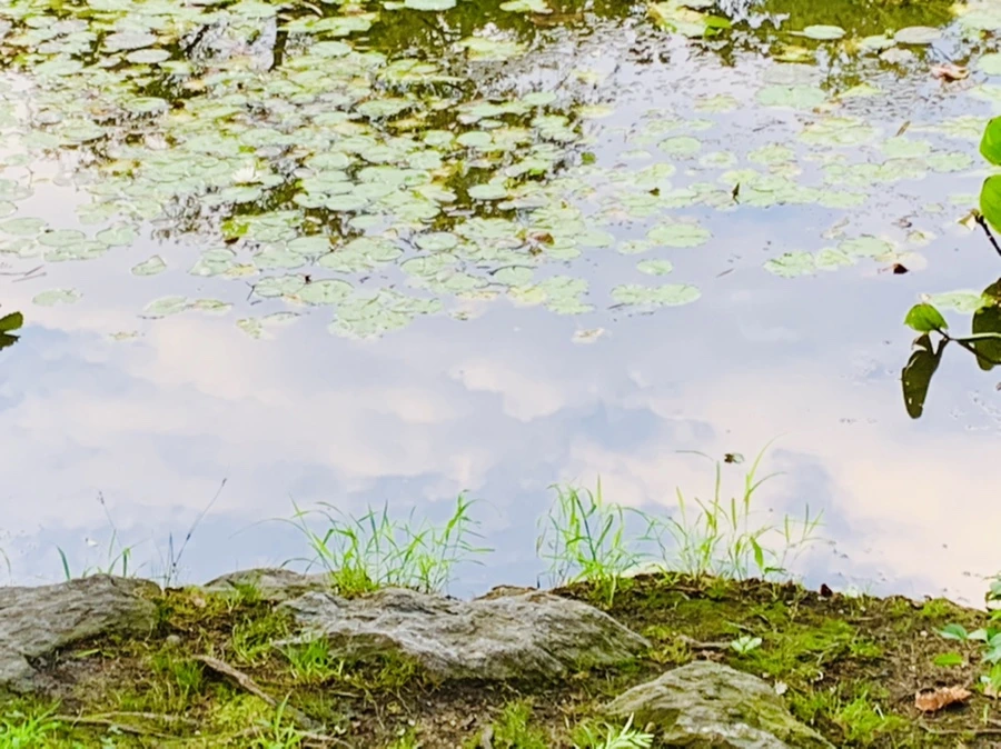 IMG_5833.jpg?type=w966