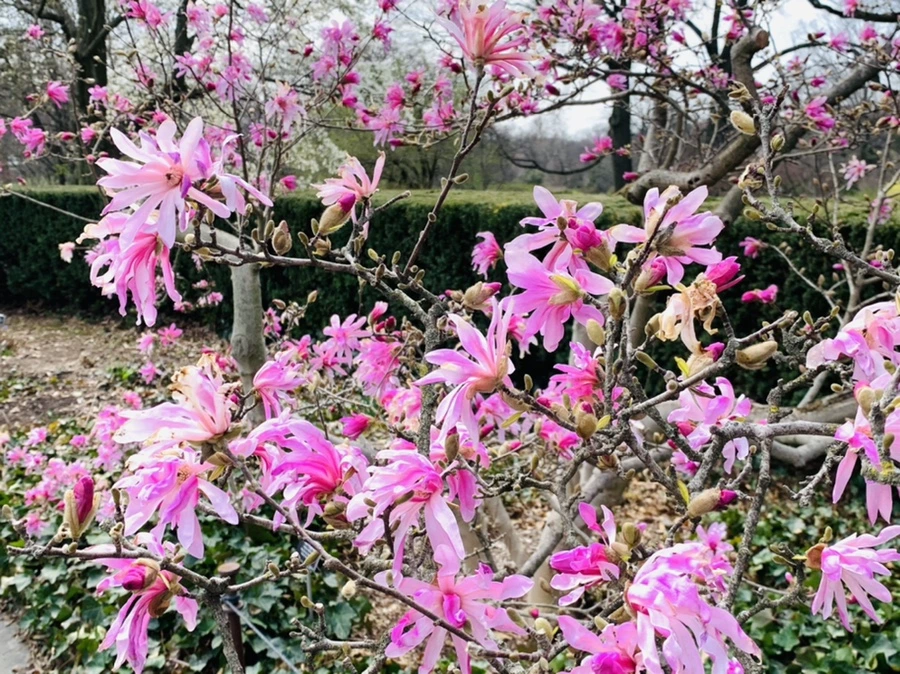 IMG_7250.jpg?type=w966