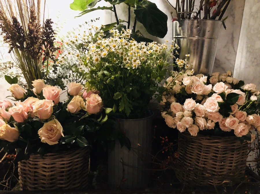 IMG_1281.jpg?type=w966