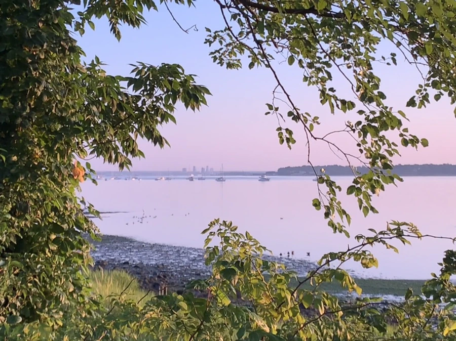 IMG_0237.jpg?type=w966