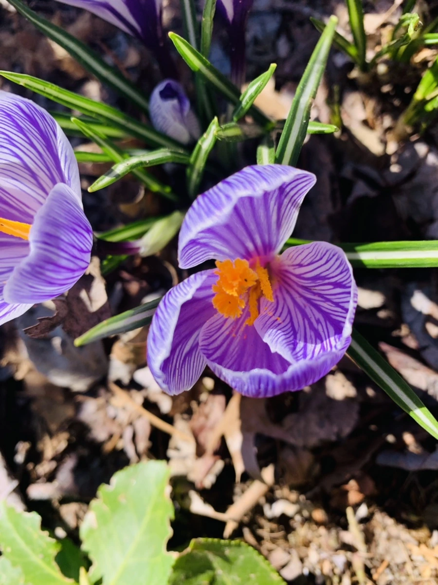 IMG_2585.jpg?type=w966