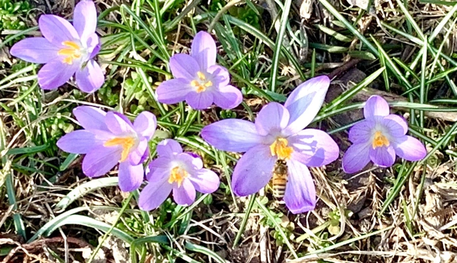 IMG_0225.jpg?type=w966