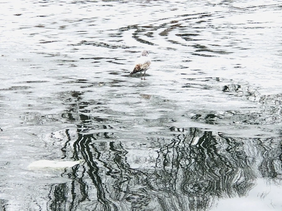 IMG_6415.jpg?type=w966