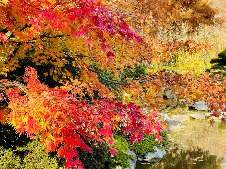 IMG_3120.jpg?type=w966