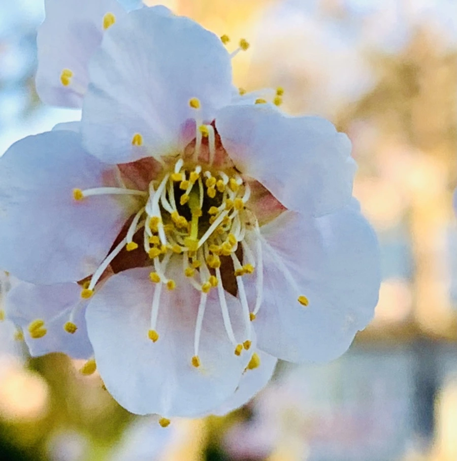 IMG_0774.jpg?type=w966