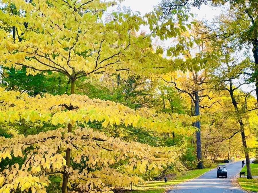 IMG_1860.jpg?type=w966