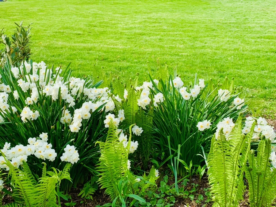 IMG_7053.jpg?type=w966