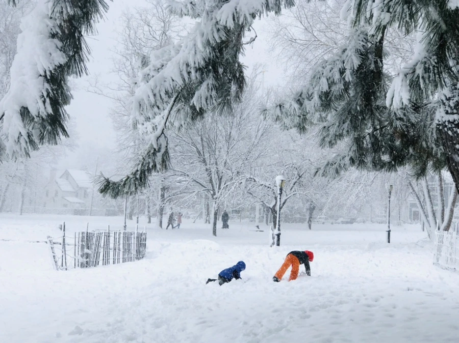 IMG_1083.jpg?type=w966