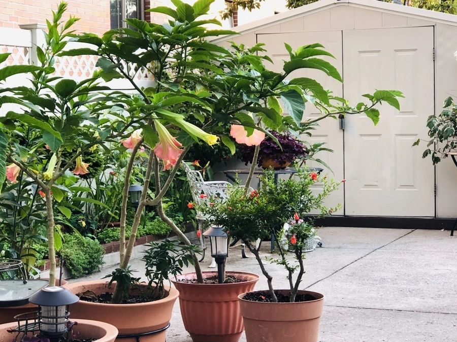 IMG_3512.jpg?type=w966