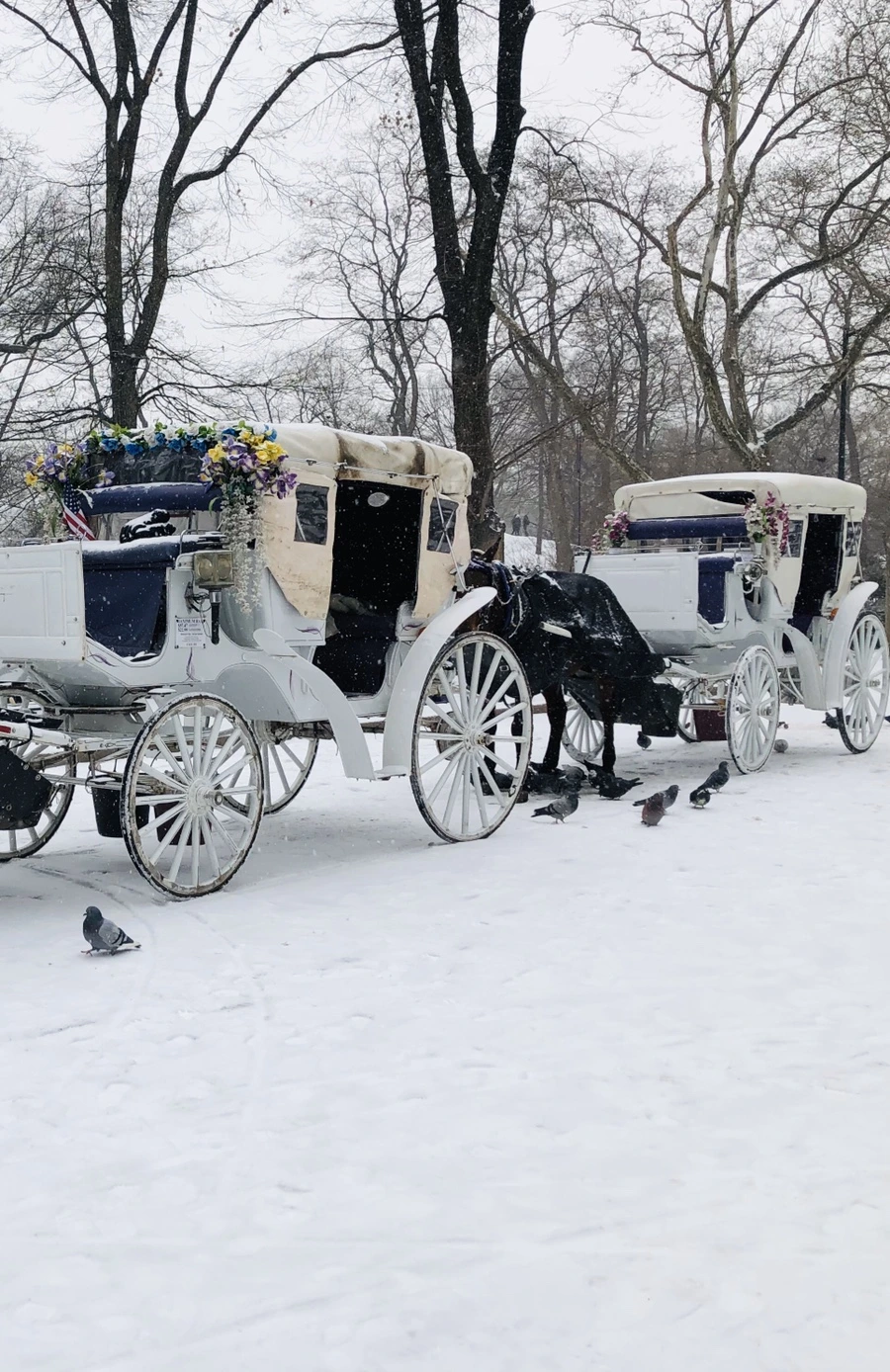 IMG_3729.jpg?type=w966