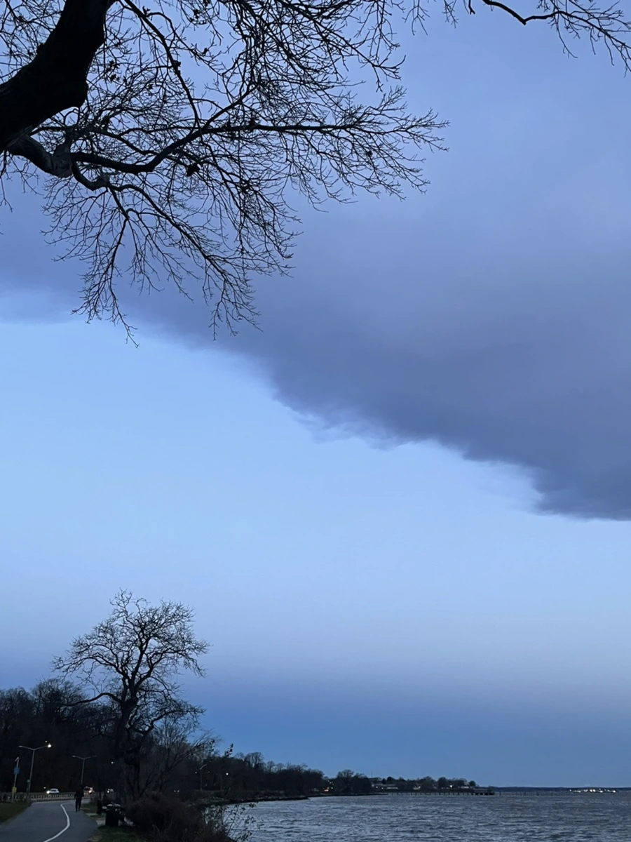 IMG_6555.jpg?type=w966