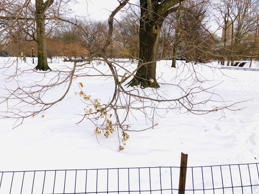 IMG_7328.jpg?type=w966