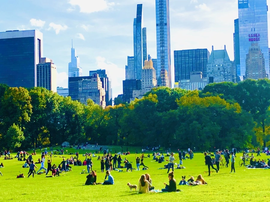 IMG_2112.jpg?type=w966