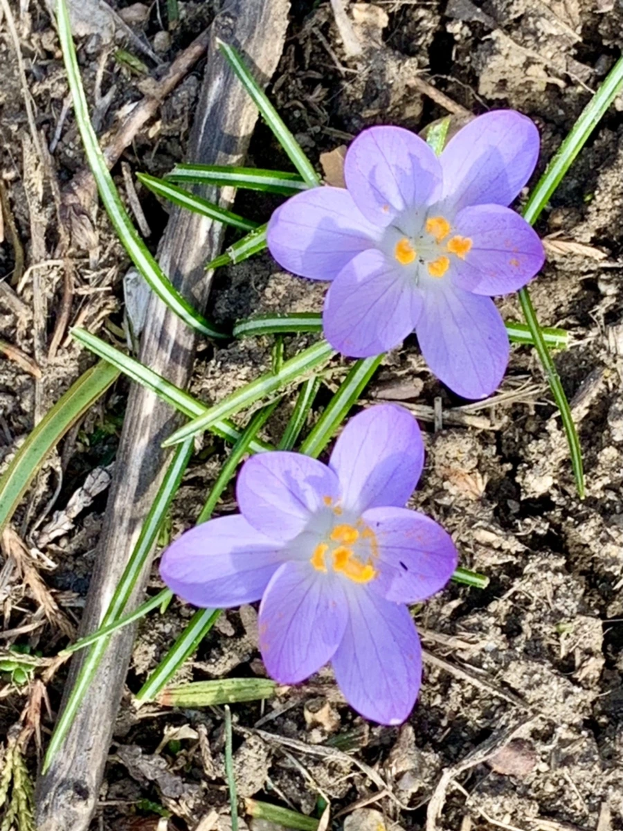 IMG_0277.jpg?type=w966