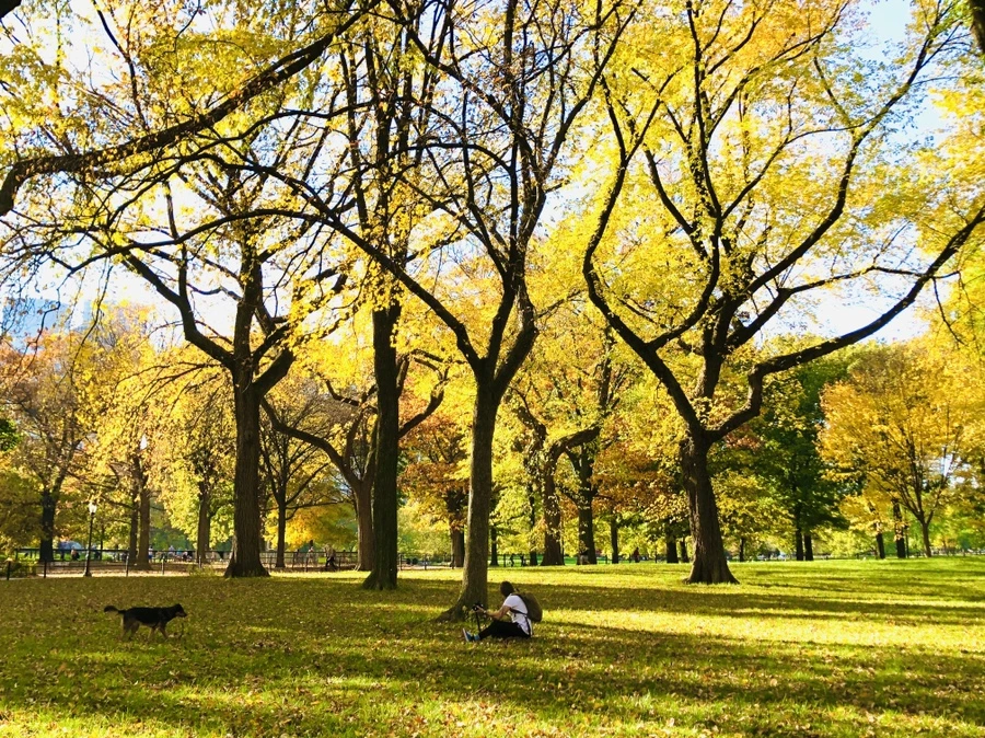 IMG_3480.jpg?type=w966