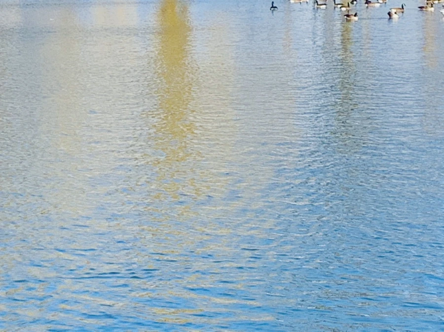 IMG_9969.jpg?type=w966