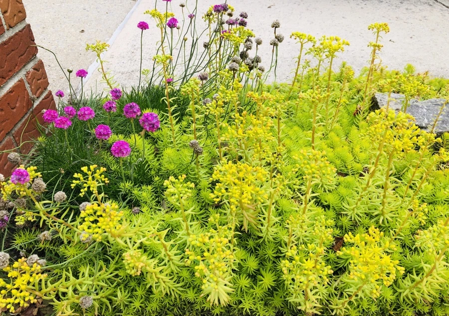 IMG_6144.jpg?type=w966