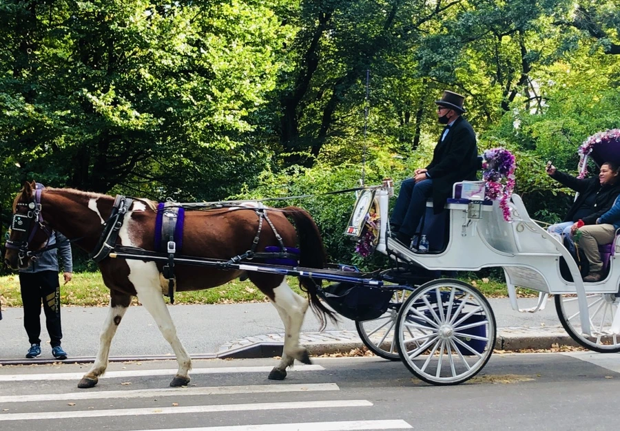 IMG_2138.jpg?type=w966