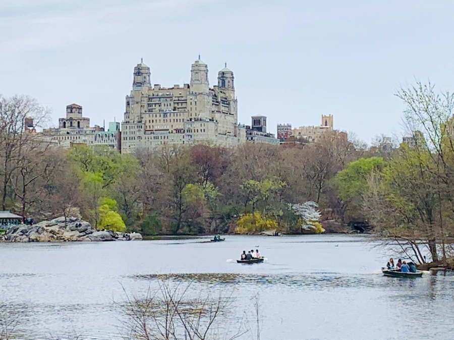 IMG_9774.jpg?type=w966