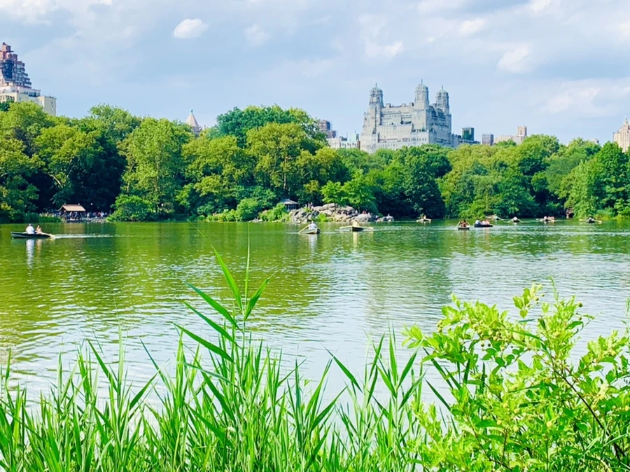 IMG_0664.jpg?type=w966