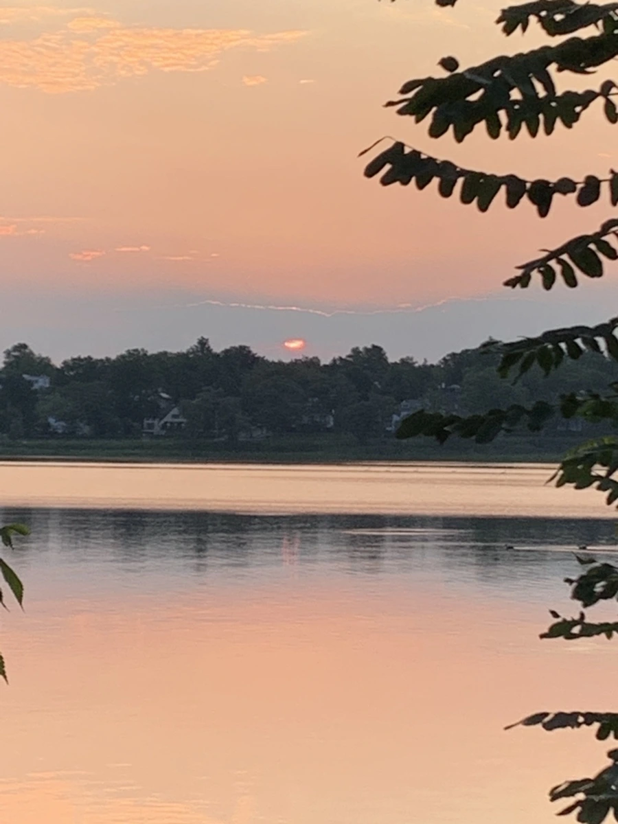 IMG_4639.jpg?type=w966