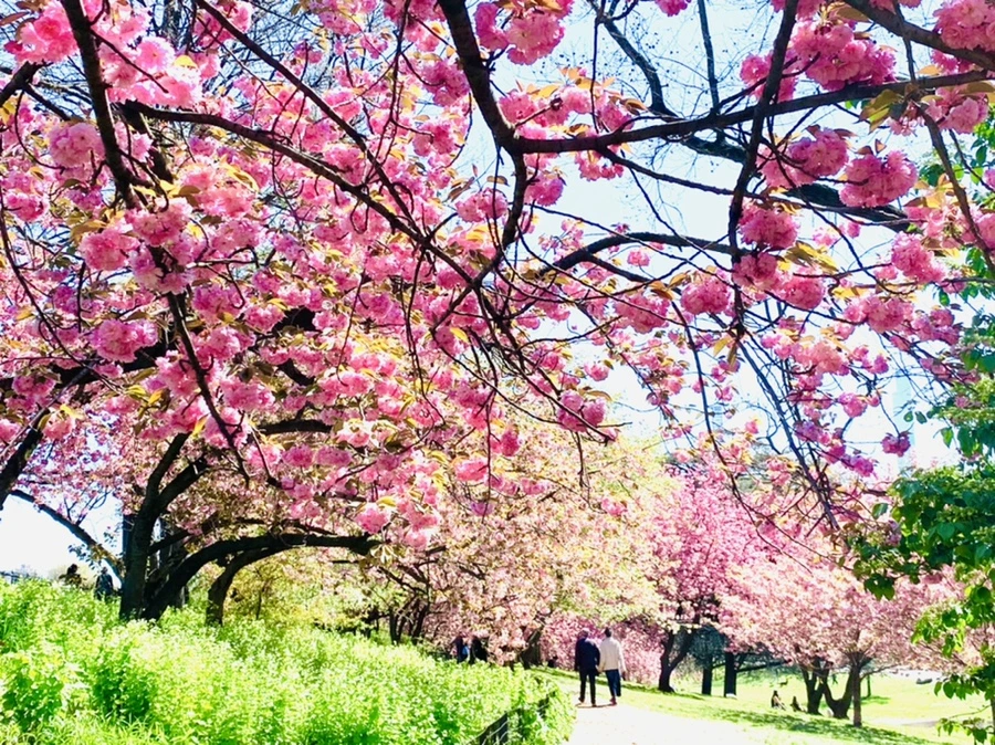 IMG_5829.jpg?type=w966