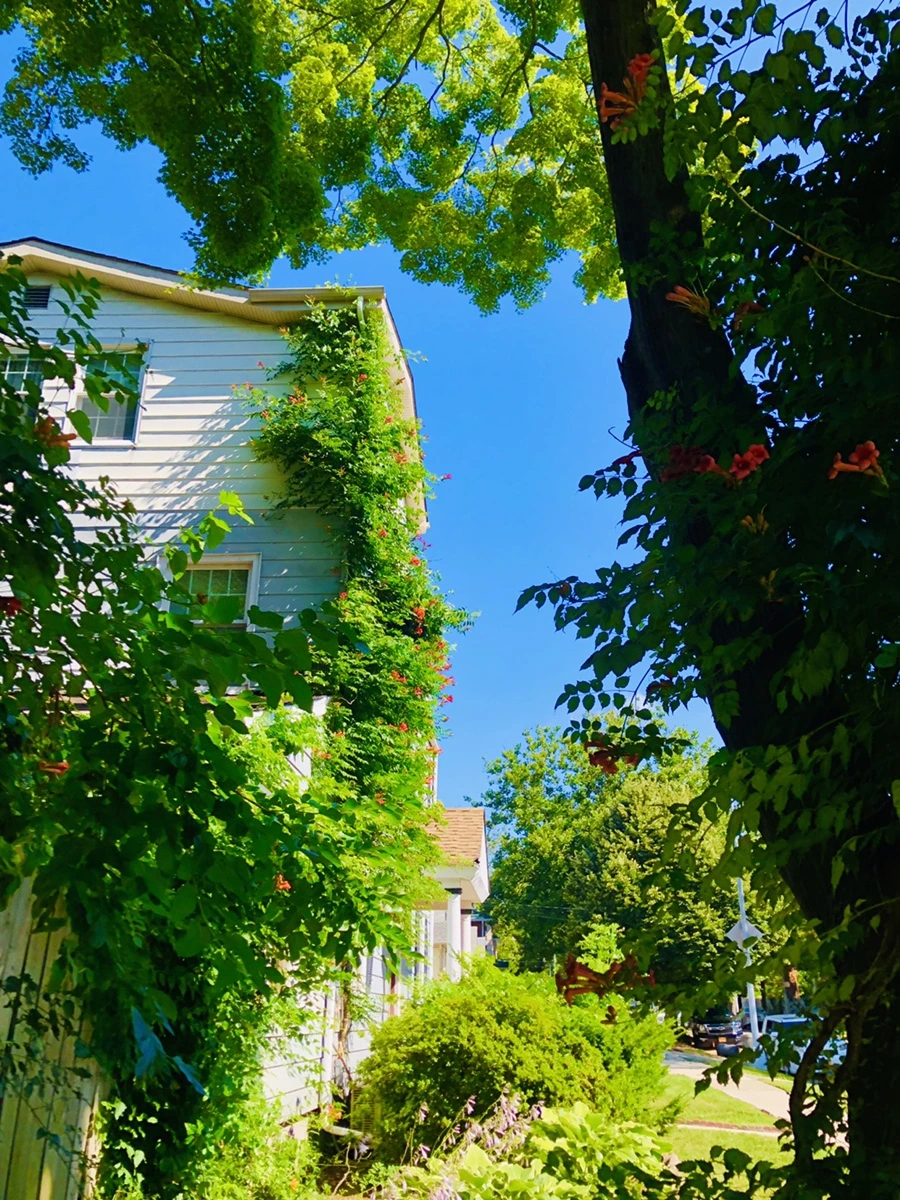 IMG_2834.jpg?type=w966