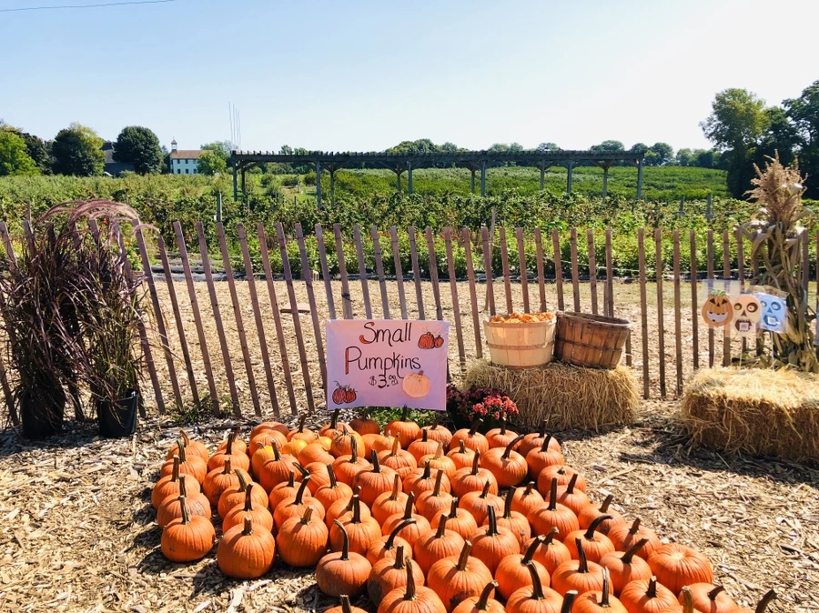 IMG_0758.jpg?type=w966