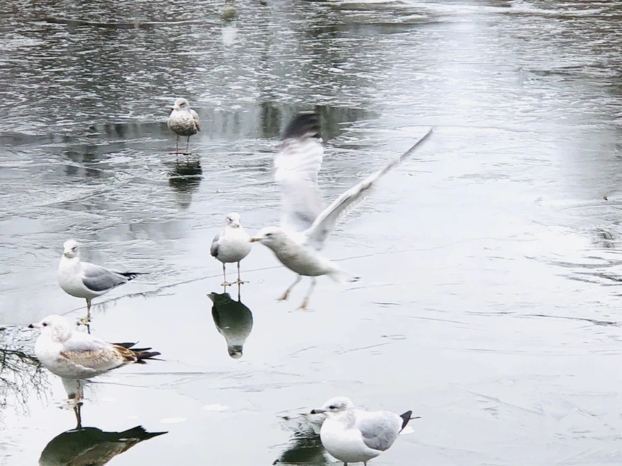 IMG_8905.jpg?type=w966