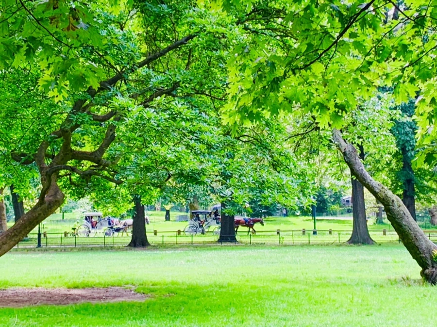 IMG_8005.jpg?type=w966