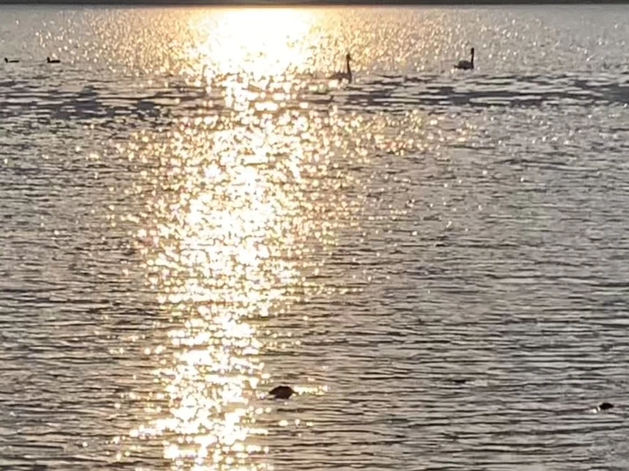 IMG_9975.jpg?type=w966