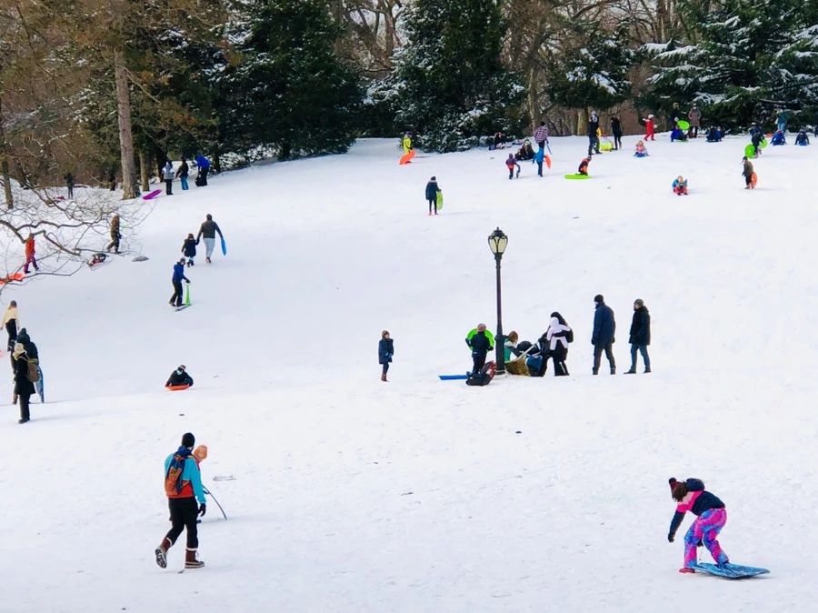 IMG_7279.jpg?type=w966