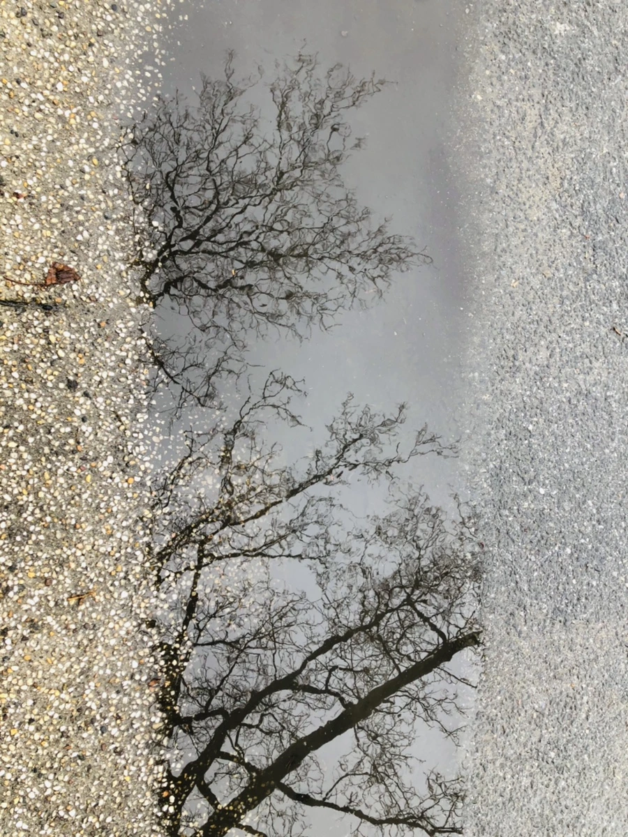 IMG_9352.jpg?type=w966