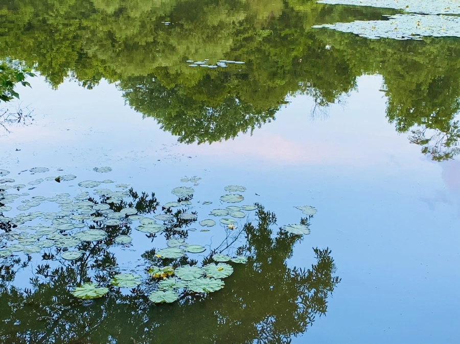 IMG_2984.jpg?type=w966