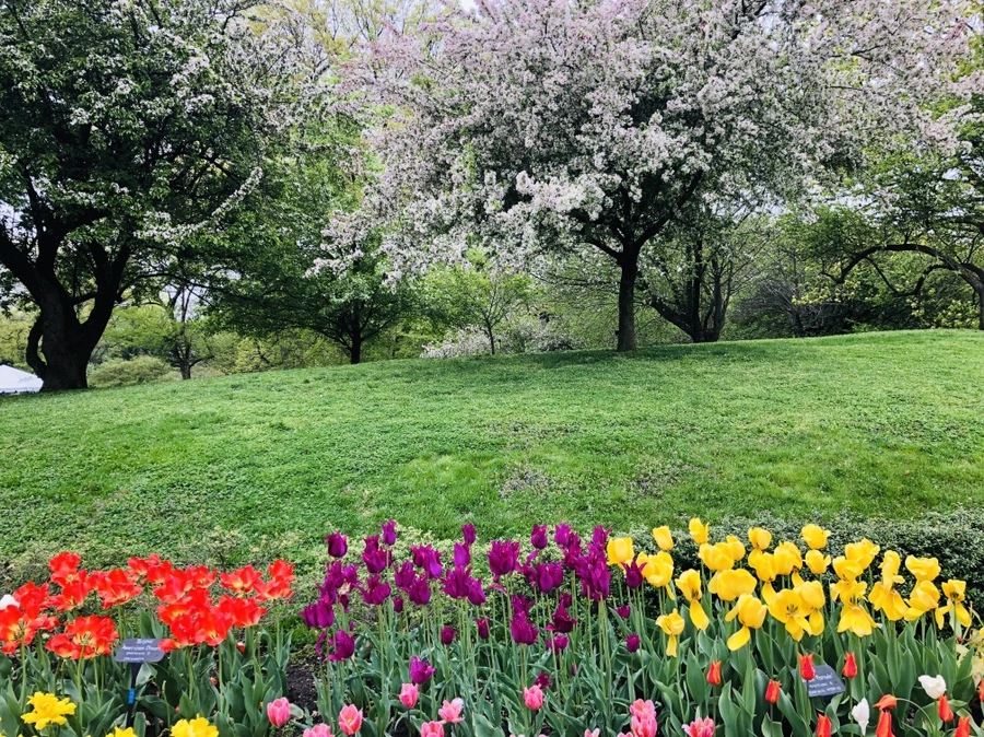 IMG_3751.jpg?type=w966