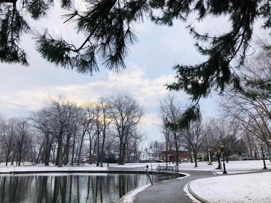 IMG_4541.jpg?type=w966