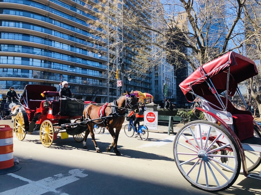 IMG_1190.jpg?type=w966