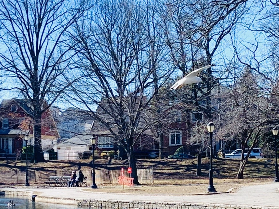 IMG_7640.jpg?type=w966