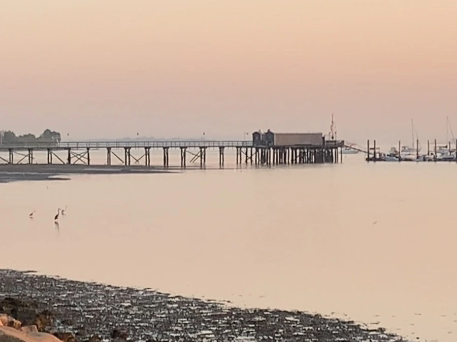 IMG_7208.jpg?type=w966