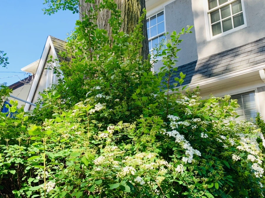 IMG_0413.jpg?type=w966