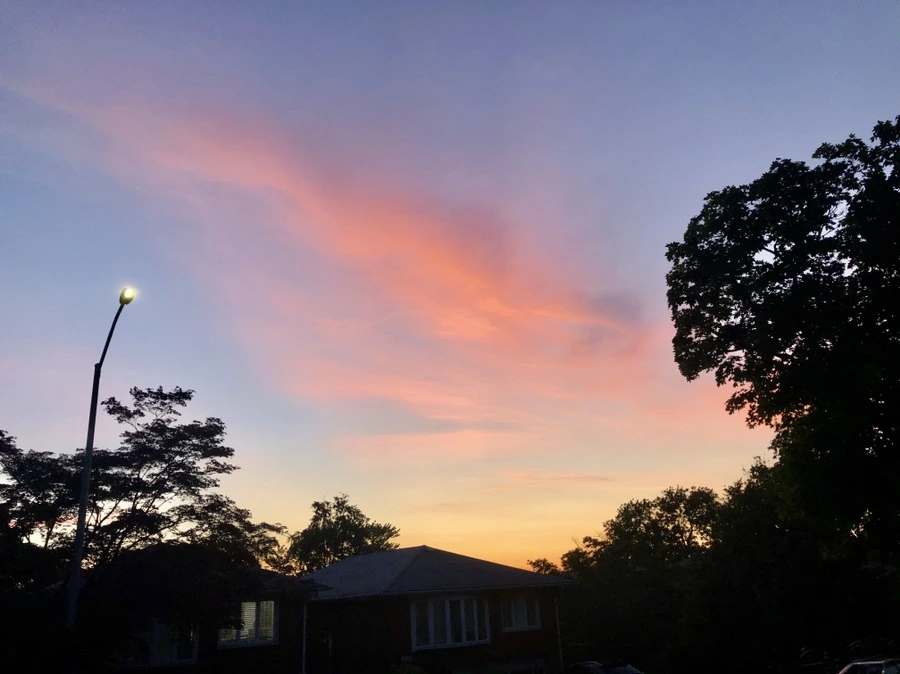 IMG_0018.jpg?type=w966