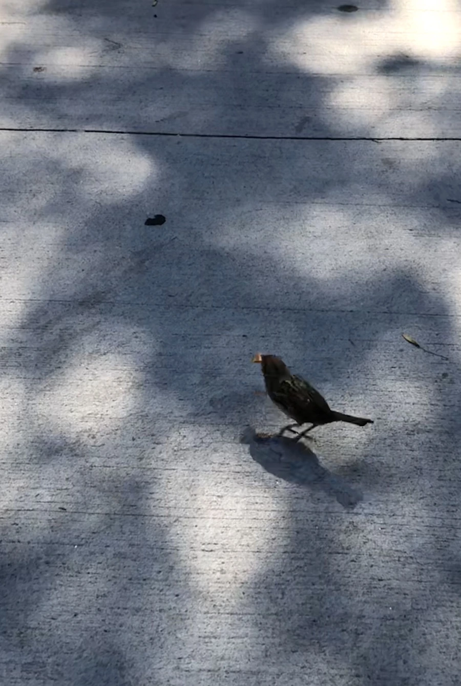 IMG_3470.jpg?type=w966