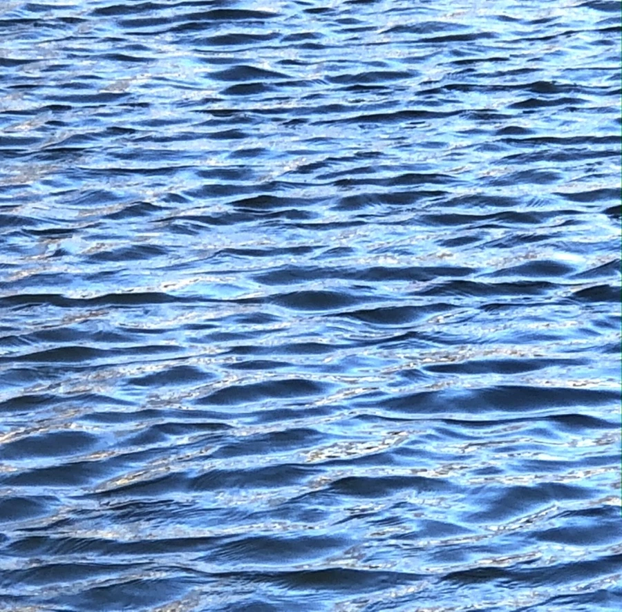 IMG_3882.jpg?type=w966