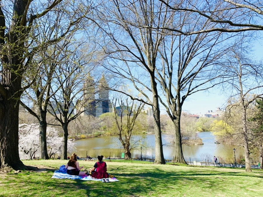 IMG_8954.jpg?type=w966