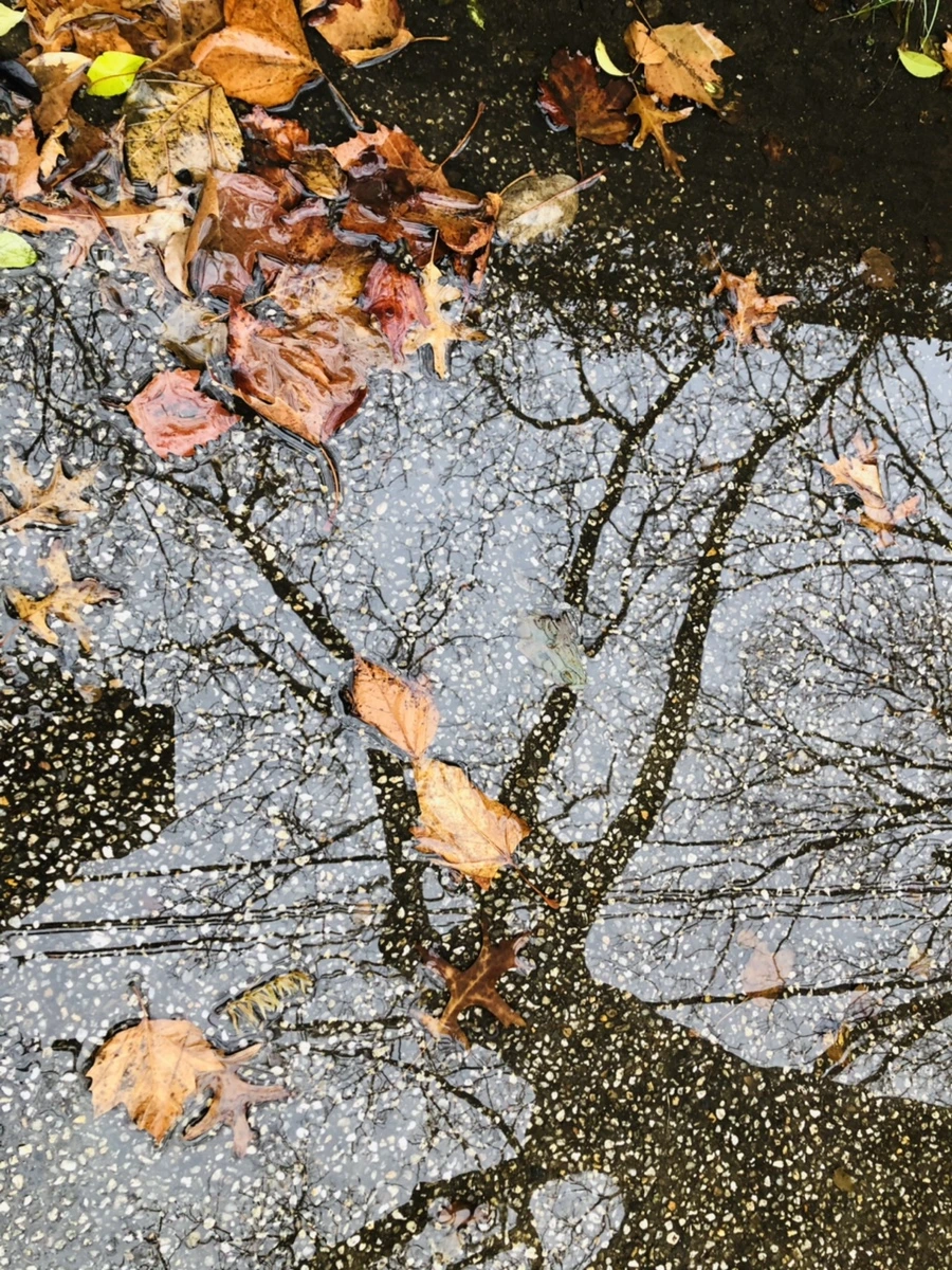 IMG_8141.jpg?type=w966