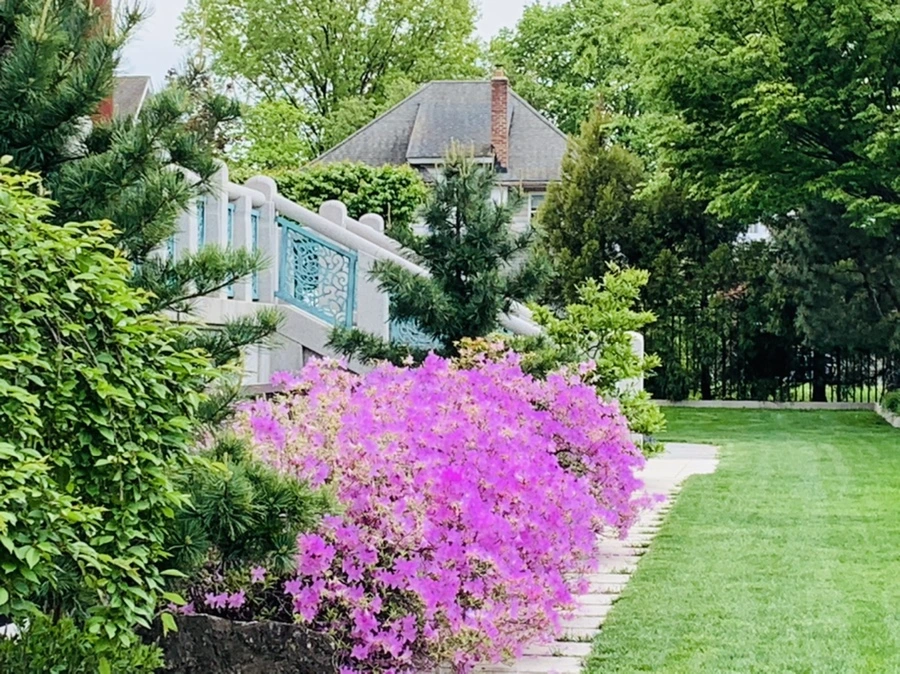 IMG_0677.jpg?type=w966